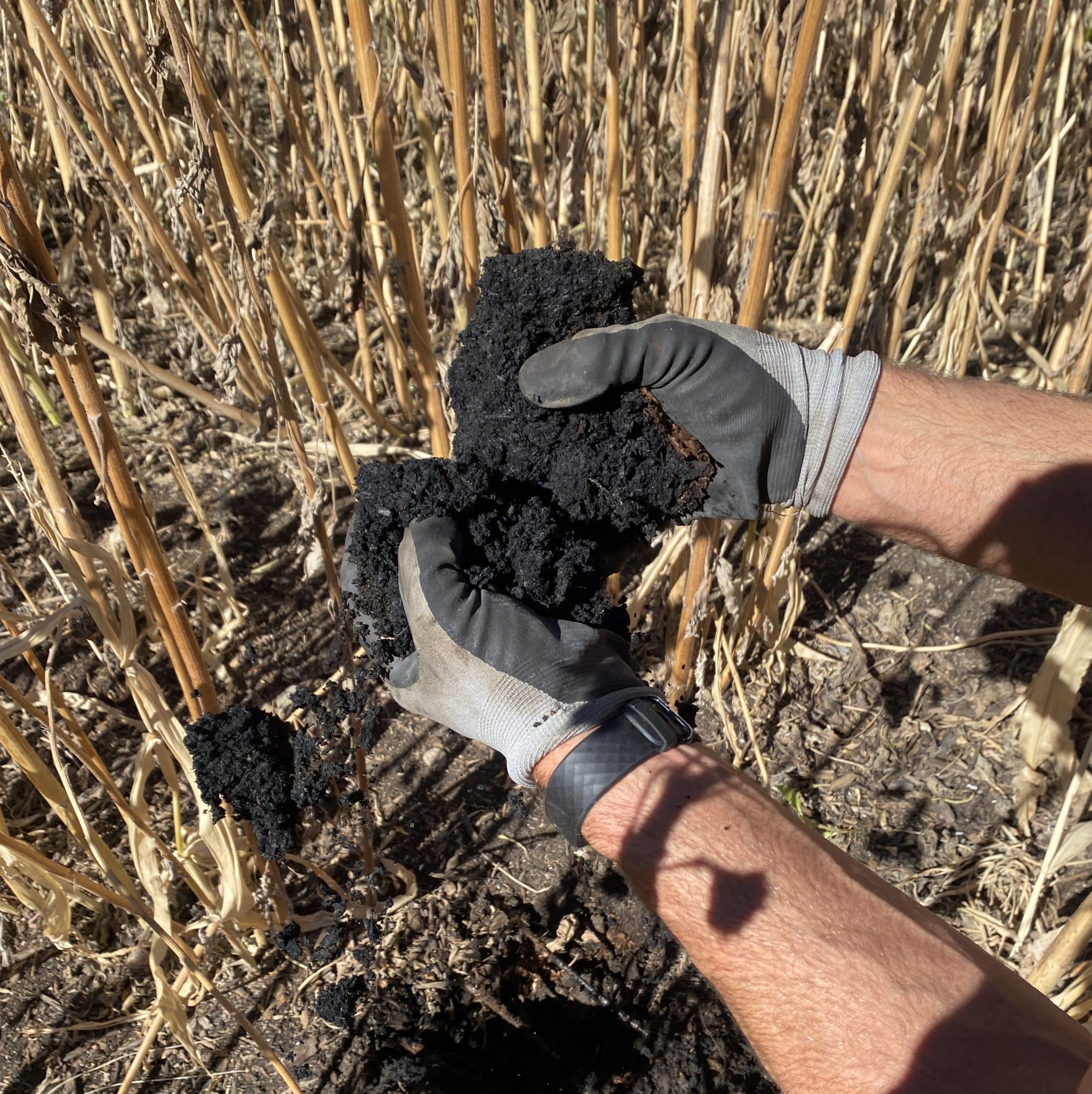 Quality biochar brings water, nutrient and microbial benefits to soil